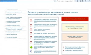 новый паспорт анкета